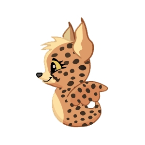 Cheetah Pup